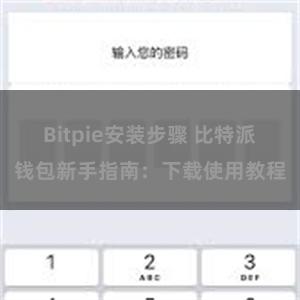 Bitpie安装步骤 比特派钱包新手指南：下载使用教程