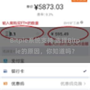 Bitpie系统支持 选择Bitpie的原因，你知道吗？