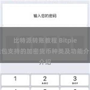 比特派转账教程 Bitpie钱包支持的加密货币种类及功能介绍