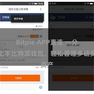 Bitpie APP直连 一分钟上手比特派钱包，轻松管理多链资产