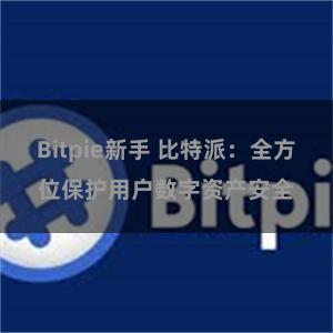 Bitpie新手 比特派：全方位保护用户数字资产安全