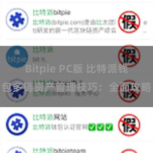 Bitpie PC版 比特派钱包多链资产管理技巧：全面攻略