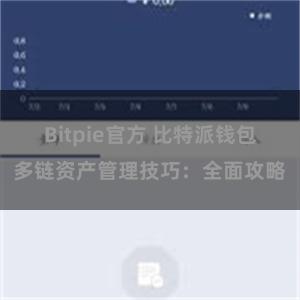 Bitpie官方 比特派钱包多链资产管理技巧：全面攻略