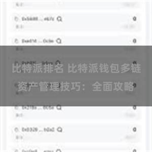 比特派排名 比特派钱包多链资产管理技巧：全面攻略