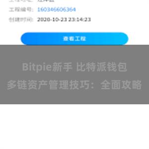 Bitpie新手 比特派钱包多链资产管理技巧：全面攻略