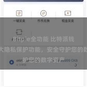 Bitpie全功能 比特派钱包：强大隐私保护功能，安全守护您的数字资产