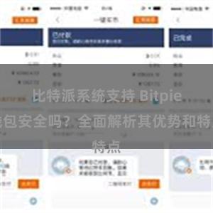 比特派系统支持 Bitpie钱包安全吗？全面解析其优势和特点