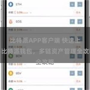 比特派APP客户端 快速上手比特派钱包，多链资产管理全攻略