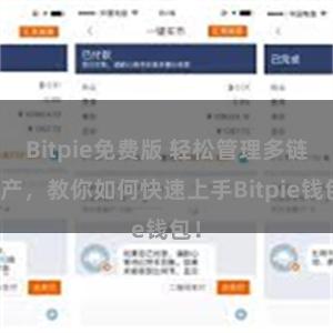 Bitpie免费版 轻松管理多链资产，教你如何快速上手Bitpie钱包！