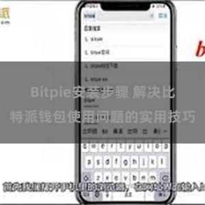 Bitpie安装步骤 解决比特派钱包使用问题的实用技巧