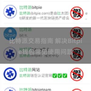 比特派交易指南 解决Bitpie钱包常见使用问题