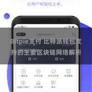 Bitpie支付 比特派钱包支持的主要区块链网络解析