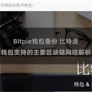 Bitpie钱包备份 比特派钱包支持的主要区块链网络解析