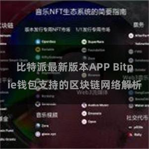 比特派最新版本APP Bitpie钱包支持的区块链网络解析