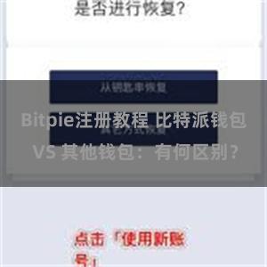 Bitpie注册教程 比特派钱包 VS 其他钱包：有何区别？