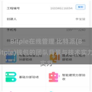 Bitpie在线管理 比特派(Bitpie)钱包的团队背景与技术实力