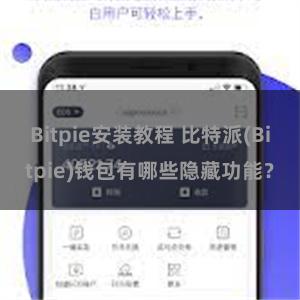 Bitpie安装教程 比特派(Bitpie)钱包有哪些隐藏功能？