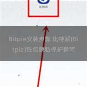 Bitpie安装步骤 比特派(Bitpie)钱包隐私保护指南