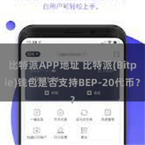 比特派APP地址 比特派(Bitpie)钱包是否支持BEP-20代币？