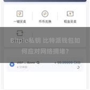 Bitpie私钥 比特派钱包如何应对网络拥堵？