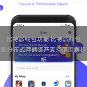 比特派钱包功能 比特派钱包的分布式存储资产支持范围解析