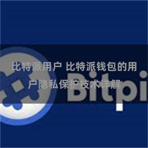 比特派用户 比特派钱包的用户隐私保护技术详解