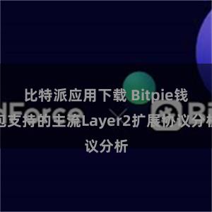 比特派应用下载 Bitpie钱包支持的主流Layer2扩展协议分析