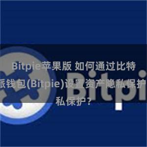 Bitpie苹果版 如何通过比特派钱包(Bitpie)设置资产隐私保护？