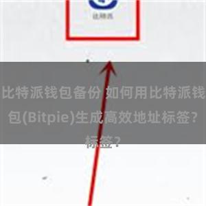 比特派钱包备份 如何用比特派钱包(Bitpie)生成高效地址标签？