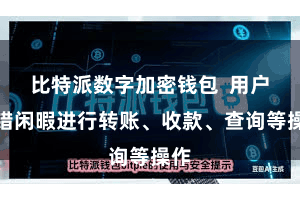   比特派数字加密钱包  用户不错闲暇进行转账、收款、查询等操作