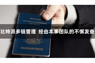 比特派多链管理  经由本事团队的不懈发奋