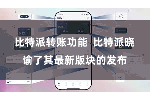 比特派转账功能  比特派晓谕了其最新版块的发布