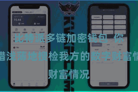 比特派多链加密钱包 你不错浅薄地搜检我方的数字财富情况