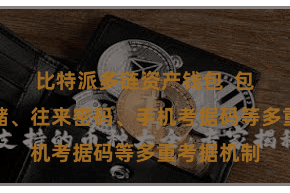 比特派多链资产钱包  包括私钥存储、往来密码、手机考据码等多重考据机制