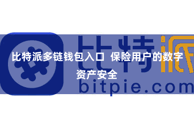 比特派多链钱包入口  保险用户的数字资产安全