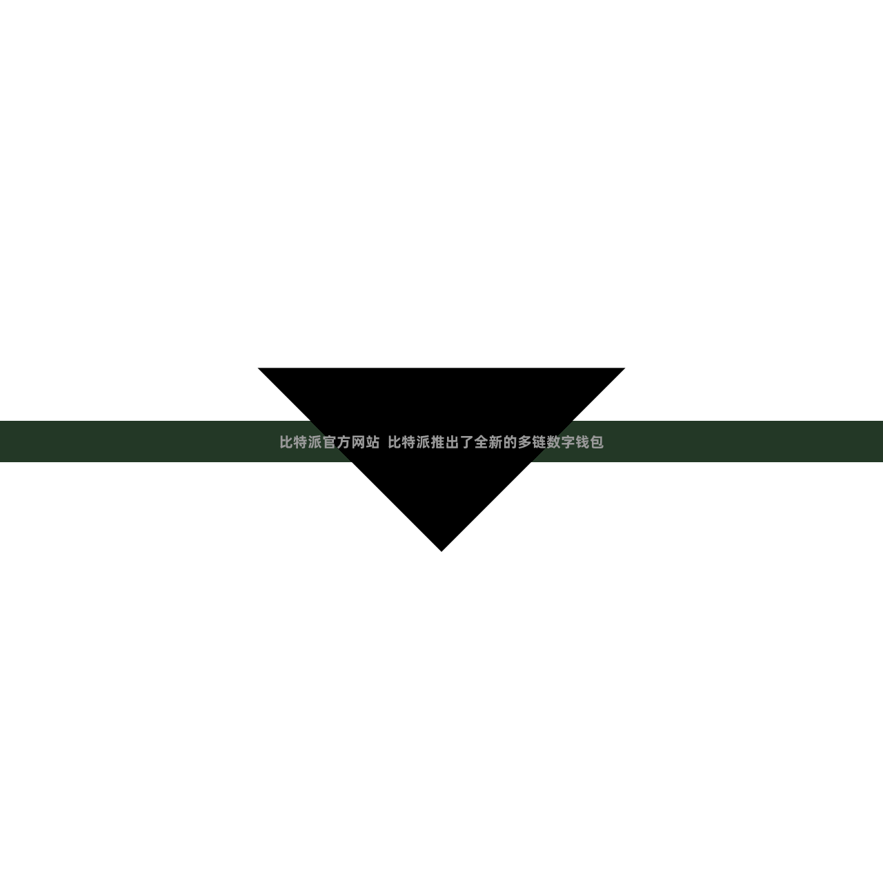比特派官方网站  比特派推出了全新的多链数字钱包